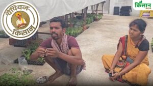 ग्राफ्टिंग तकनीक से टमाटर उगा रहे किसान राजेंद्र, 60 हजार पौधे तैयार कर 50 एकड़ जमीन में खेती से बदली जिंदगी ग्राफ्टिंग तकनीक से टमाटर उगा रहे किसान राजेंद्र, 60 हजार पौधे तैयार कर 50 एकड़ जमीन में खेती से बदली जिंदगी