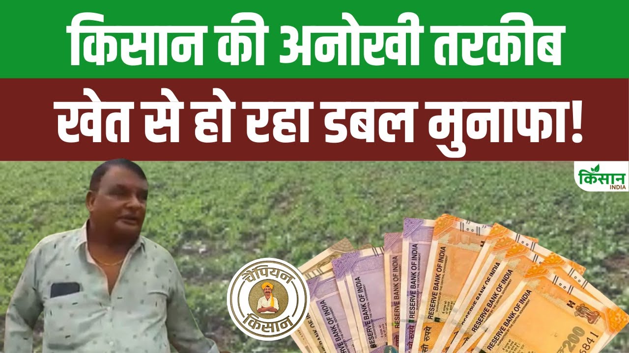 जैविक खेती से हो रहा दोहरा मुनाफा, खंडवा जिले के किसान दिनेश ने तैयार किया अनोखा मॉडल