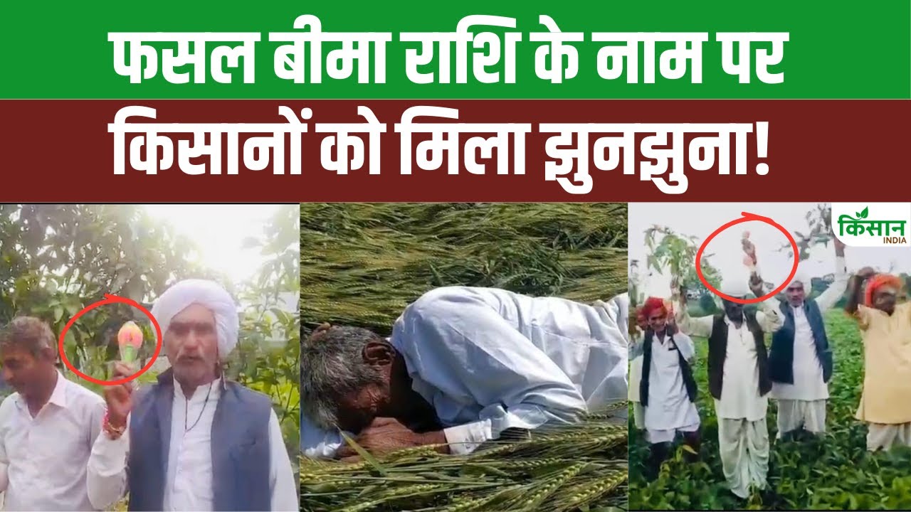 PM Fasal Beema Yoajna में गड़बड़ी का आरोप, मध्य प्रदेश में नाराज किसानों ने जताया विरोध