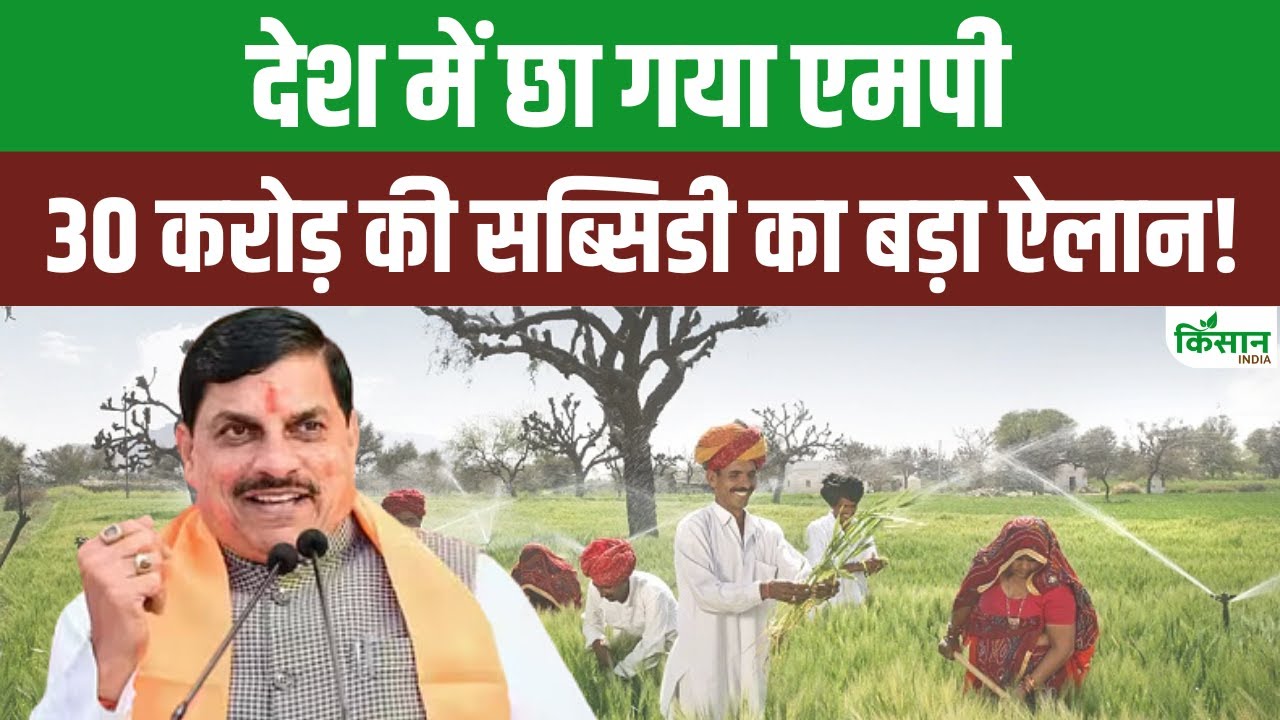 MP के पशुपालकों को बड़ी राहत, गौशाला खोलने पर सरकार देगी 10 लाख की सब्सिडी