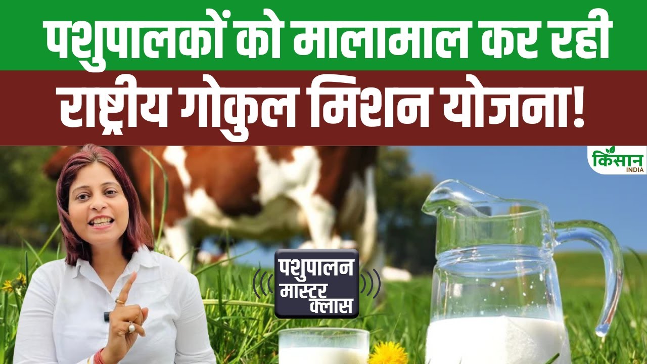 राष्ट्रीय गोकुल मिशन योजना से किसानों को हो रहा फायदा, दूध उत्पादन में 63 फीसदी की बढ़ोतरी