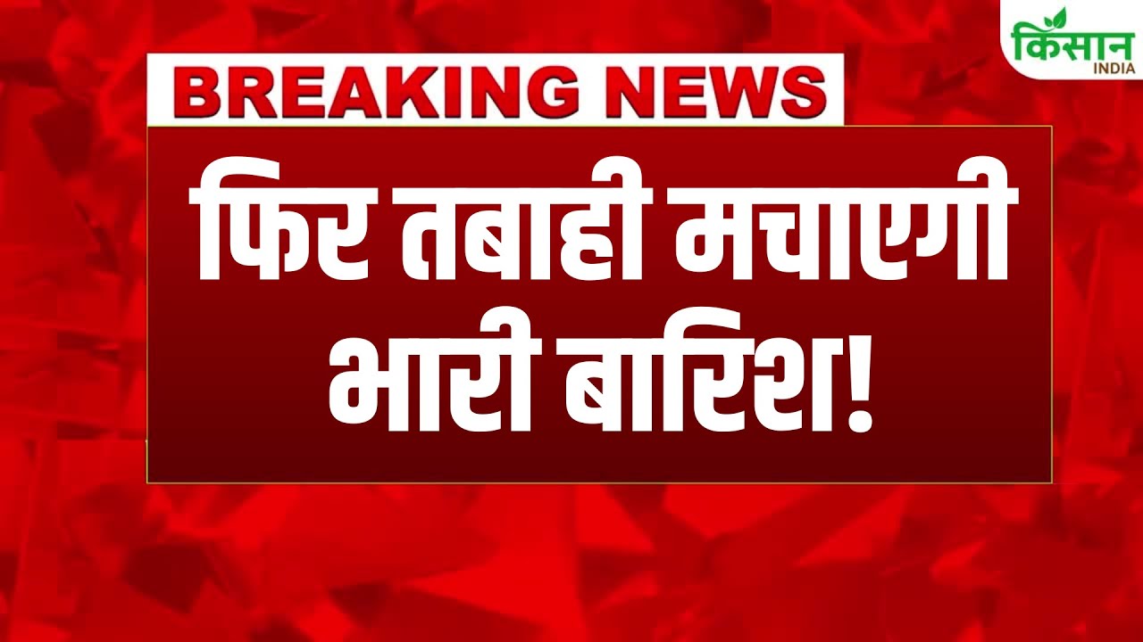 उत्तर भारत में मौसम ने फिर ली करवट, दिल्ली में झमाझम बारिश..कई राज्यों में अलर्ट