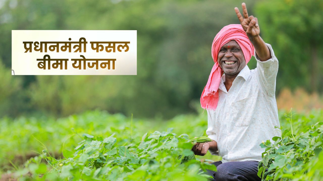 35 लाख किसानों के खाते में पहुंचा 3900 करोड़ रुपया, कृषि मंत्री ने फसल बीमा की राशि जारी की