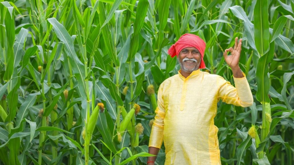 अगर किसी किसान को 20वीं किस्त नहीं मिली है, तो उन्हें पीएम किसान पोर्टल पर जाकर या नजदीकी CSC सेंटर में संपर्क कर अपना रिकॉर्ड वेरिफाई करवाना चाहिए. अगर किसी किसान को 20वीं किस्त नहीं मिली है, तो उन्हें पीएम किसान पोर्टल पर जाकर या नजदीकी CSC सेंटर में संपर्क कर अपना रिकॉर्ड वेरिफाई करवाना चाहिए.
