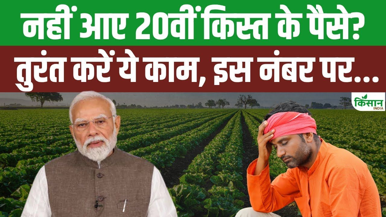 PM Kisan: अगर 20वीं किस्त के 2000 रुपये नहीं आए हैं तो अभी ये काम करें
