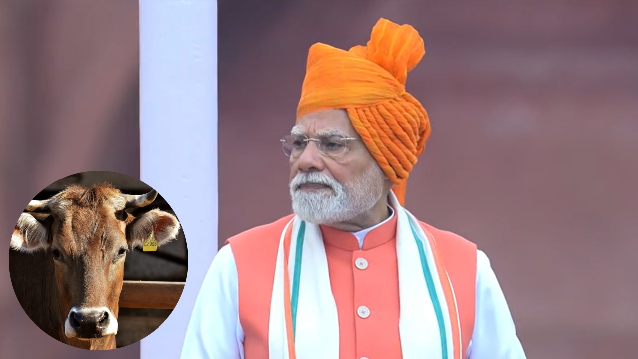 लाल किले से PM मोदी का ऐलान- पशुधन की रक्षा के लिए चलेगा विशेष टीकाकरण अभियान