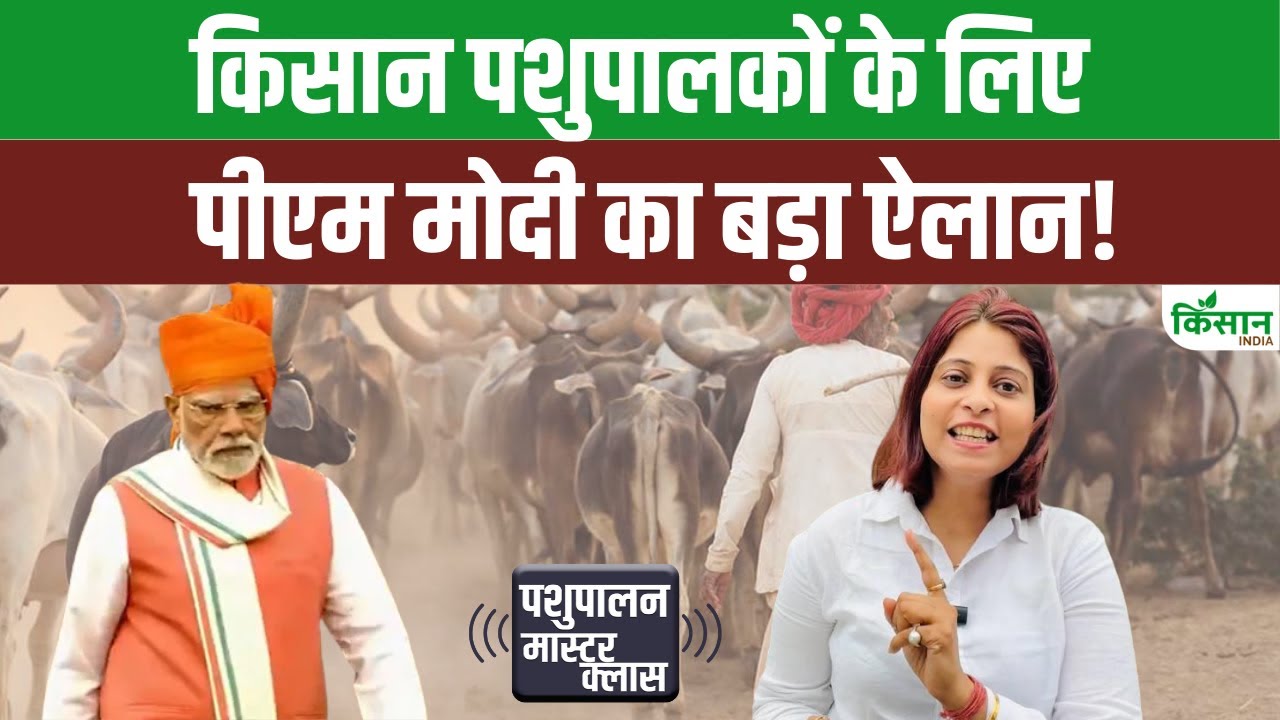 पशुपालकों को लेकर पीएम मोदी का बड़ा ऐलान, कहा-किसी भी गलत नीति के खिलाफ दीवार बनकर खड़ा रहूंगा