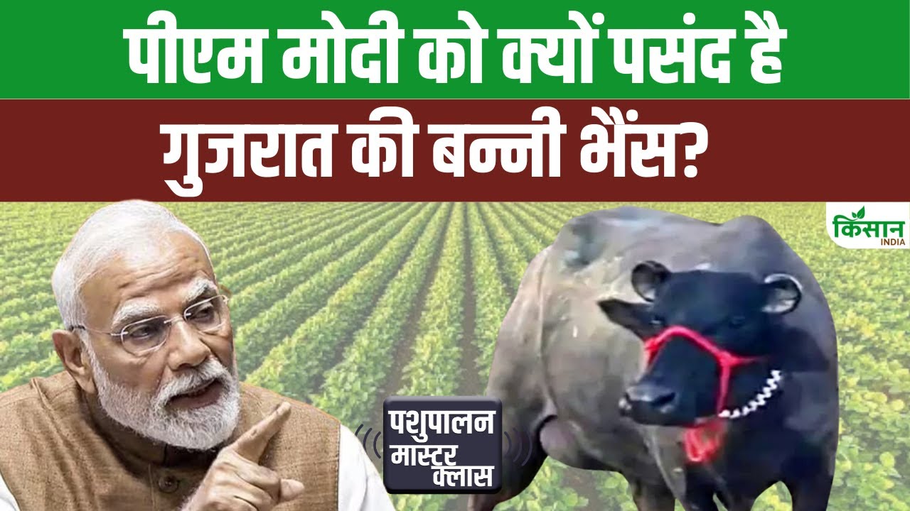 भारत के डेयरी सेक्टर पर बोले पीएम मोदी, कहा- दूध से जुड़ा कारोबार हमारी संस्कृति का हिस्सा
