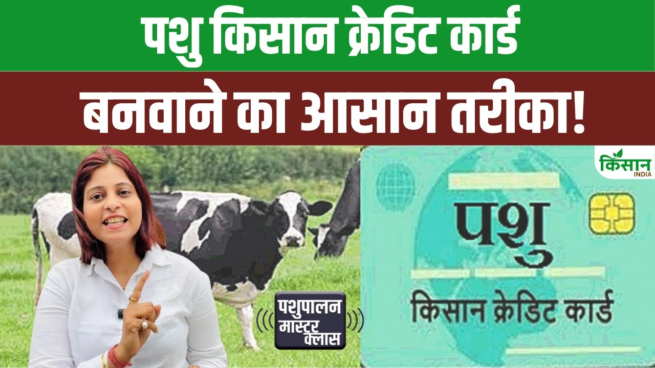 Pashu Kisan Credit Card: पशुपालकों के लिए बड़ी राहत, 3 फीसदी छूट पर मिलेगा 5 लाख तक लोन
