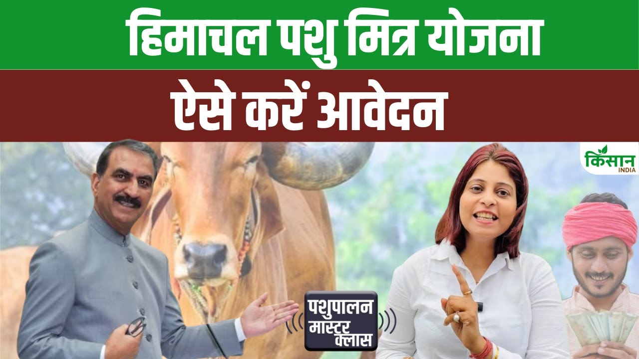 पशुधन मित्र योजना से बदलेगी हिमाचल के युवाओं की किस्मत, 10वीं पास को हर महीने मिलेंगे 5 हजार रुपये