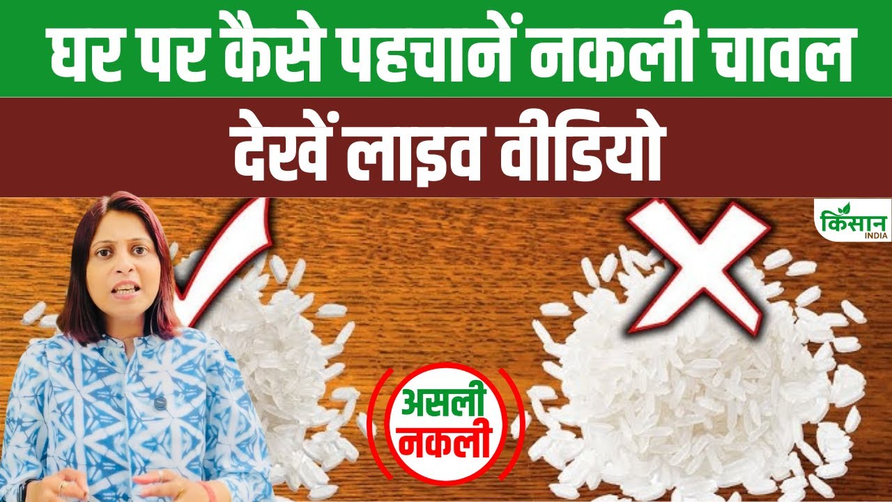 क्या आप भी खा रहे हैं प्लास्टिक चावल, इन घरेलू टिप्स से करें असली की पहचान