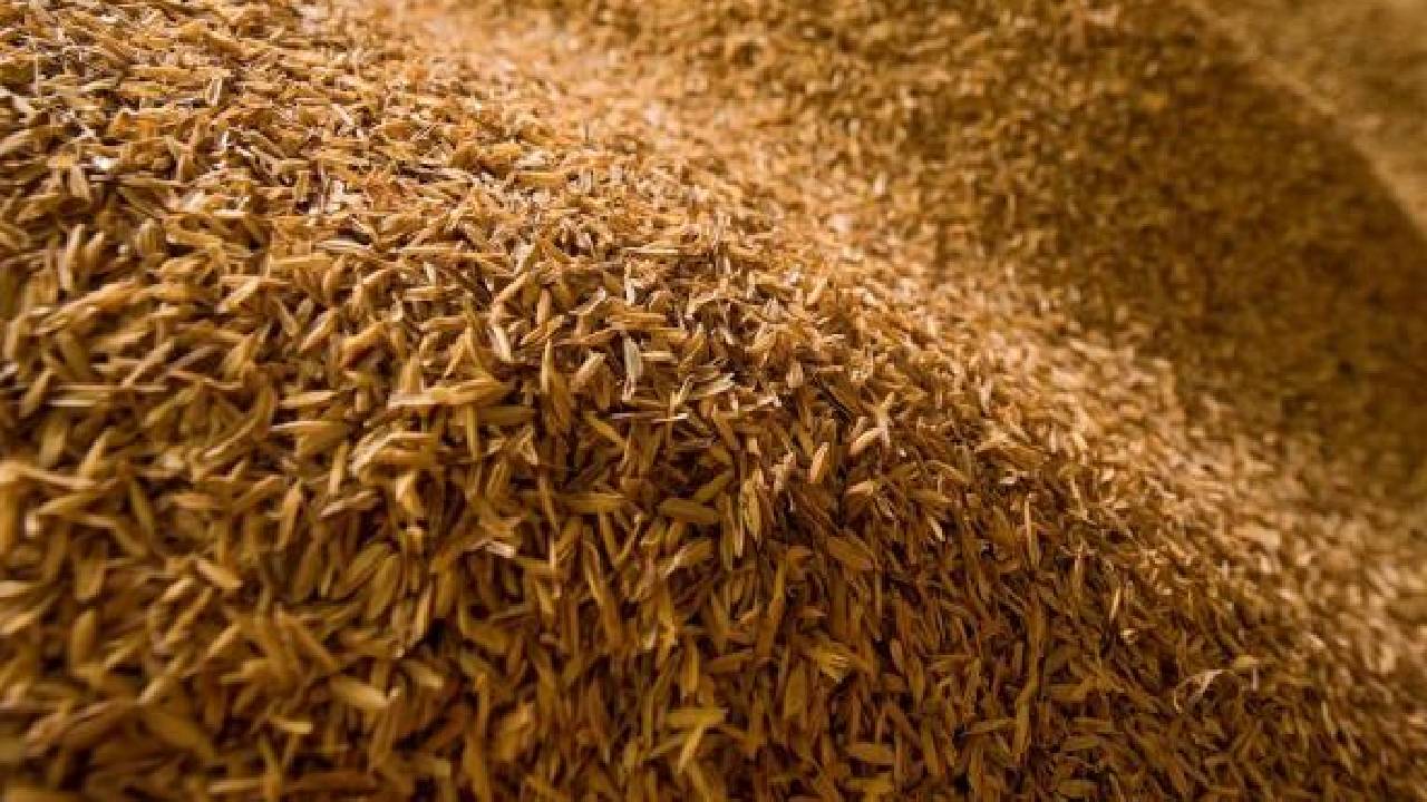 चावल की खली निर्यात पर पाबंदी से किसान और उद्योग दोनों संकट में, SEA ने की ये अपील