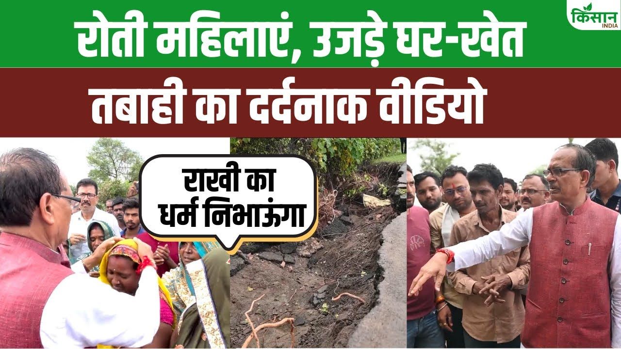 MP के रायसेन जिले में 50 साल में सबसे ज्यादा बारिश, कई घर उजड़ गए.. कृषि मंत्री ने ‘राखी धर्म’ का दिया भरोसा