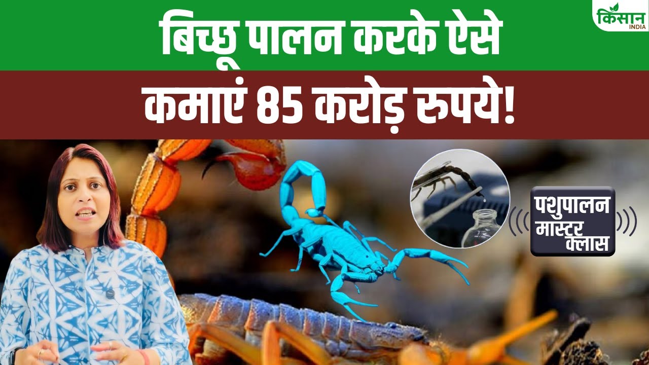 जानिए बिच्छू के जहर का बिजनेस कैसे बना रहा है करोड़पति