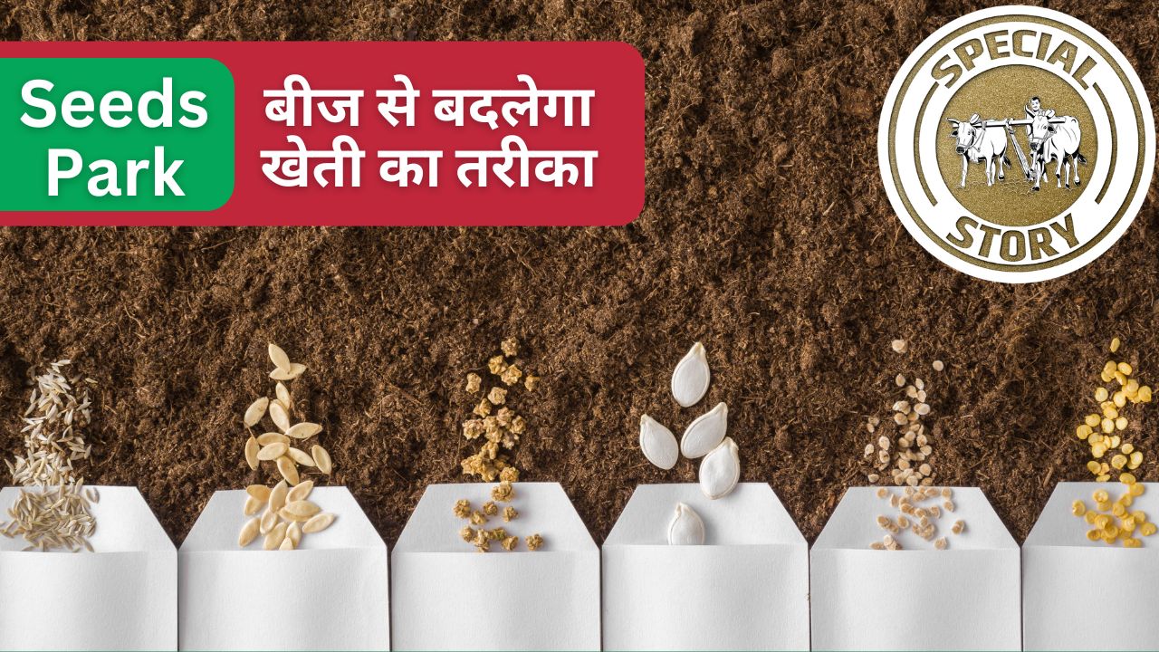 क्या खेती की दिशा बदलेंगे बीज पार्क? हरियाणा-पंजाब के उत्पादन को पीछे छोड़ेगा यूपी?
