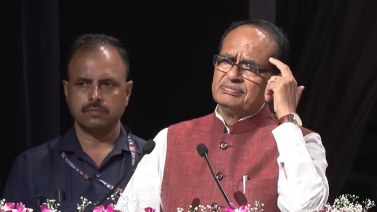 गेहूं और चावल के उत्पादन में देश आत्मनिर्भर, 11 साल में बढ़कर 1175 लाख टन हुई पैदावार