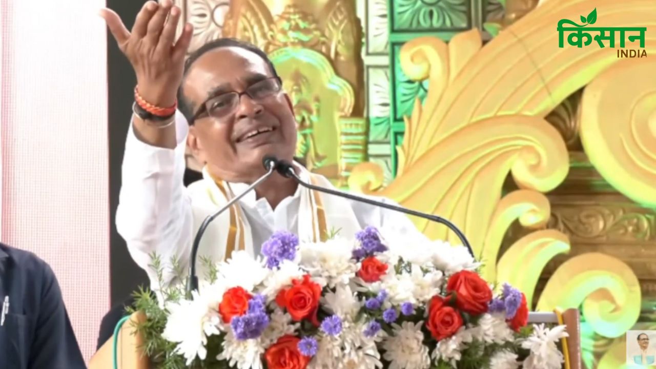 कमाई बढ़ाने का तरीका है वैज्ञानिक पद्धति से खेती, कृषि मंत्री ने धान की नई किस्में देखीं