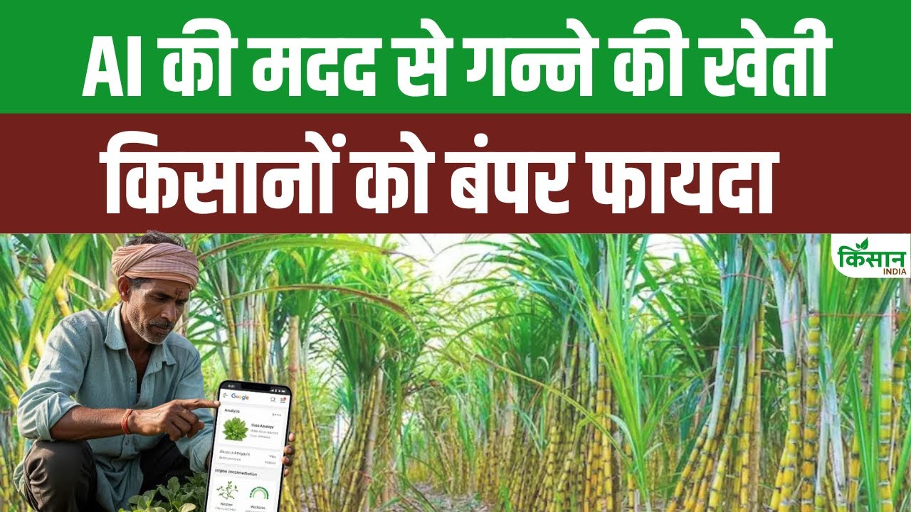 AI की मदद से स्मार्ट खेती करेंगे किसान, उत्पादन में आएगी 40 फीसदी बढ़ोतरी
