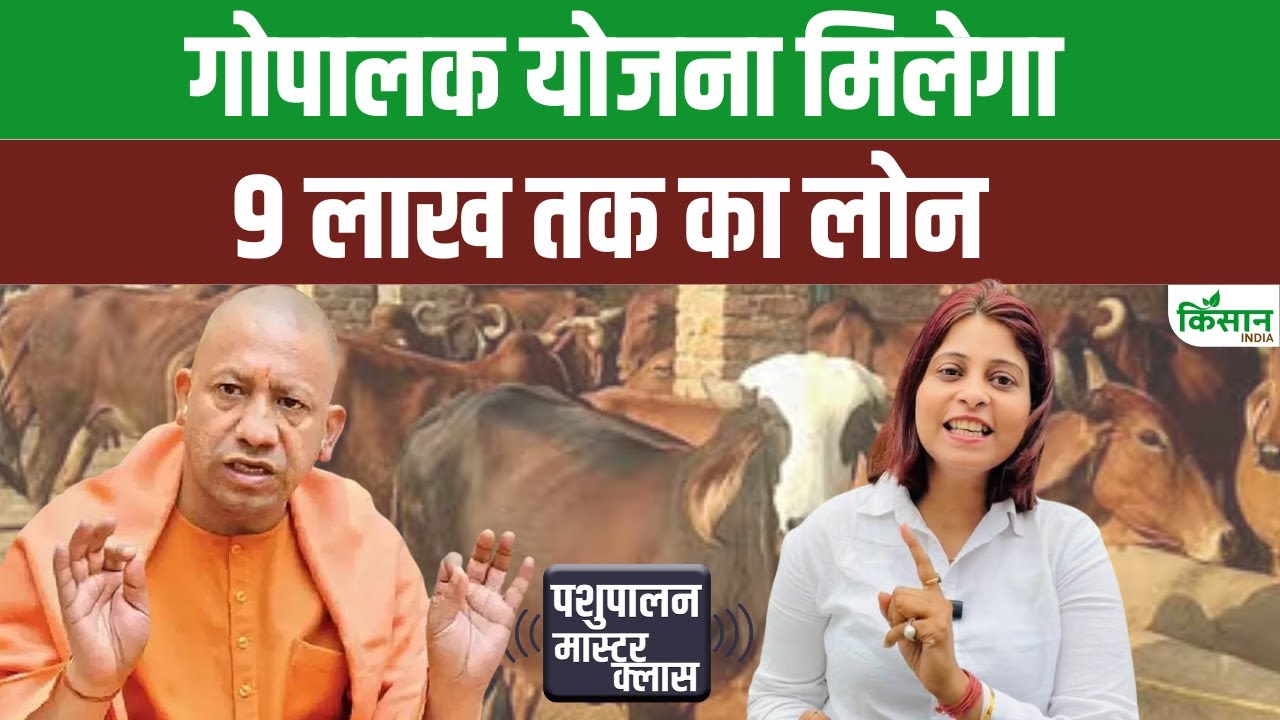 डेयरी फार्मिंग के लिए यूपी सरकार दे रही 9 लाख रुपये तक लोन, जानें आवेदन की प्रक्रिया
