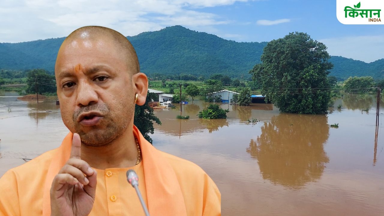 यूपी में गंगा-यमुना उफनाने से 12 जिलों के सैकड़ों गांव जलमग्न.. हजारों एकड़ में फसलें डूबीं
