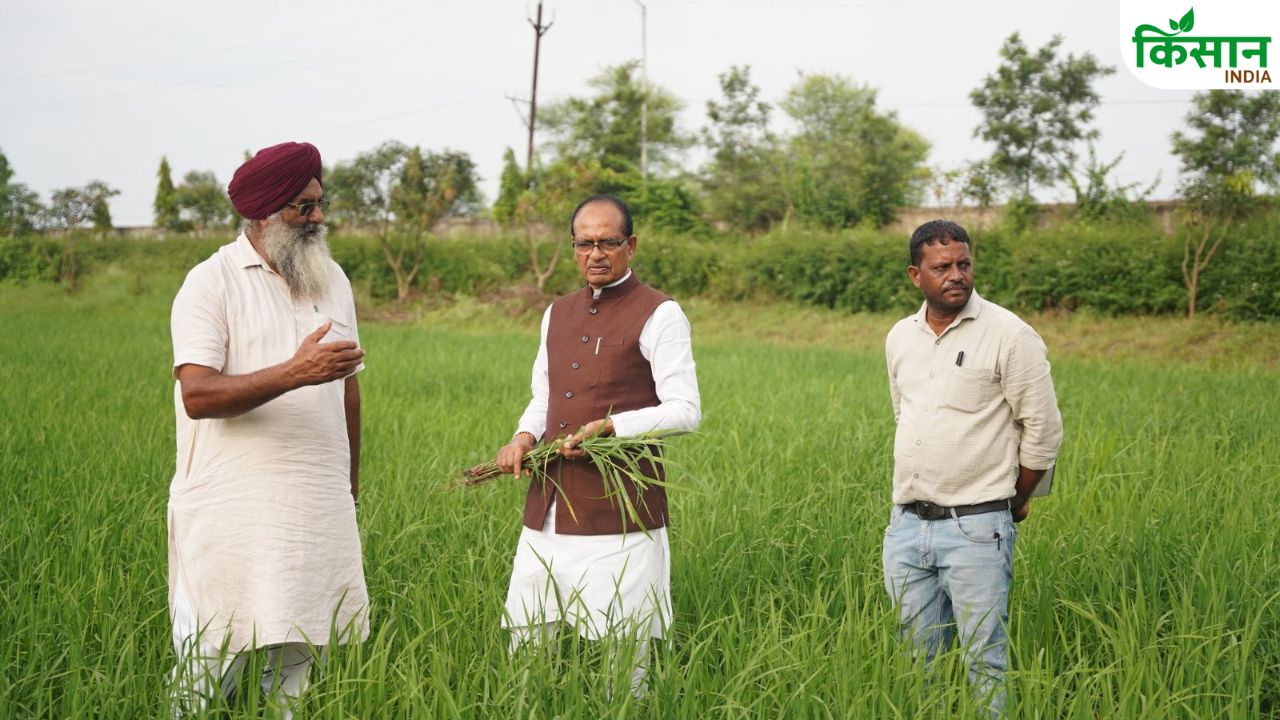 घटिया और नकली खाद-बीज से बचाने के लिए हेल्पलाइन नंबर जारी, तुरंत शिकायत करें किसान