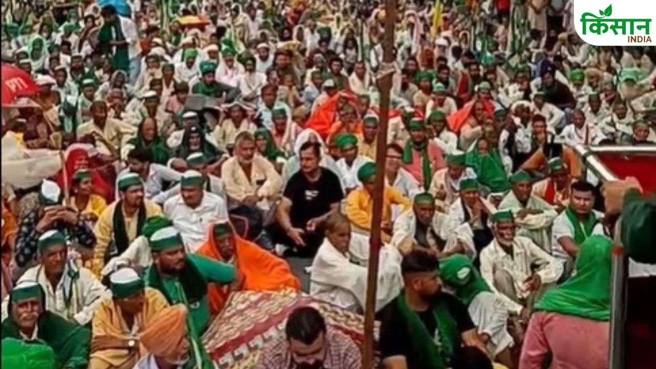 बारिश-जाम भी नहीं रोक सकी किसानों को, जंतर-मंतर पर गूंजी MSP की मांग की आवाज