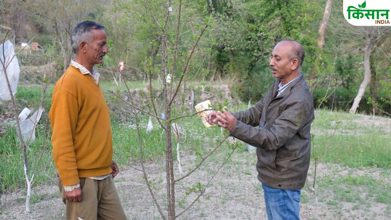 नाबार्ड की मदद से 167 गांवों के किसानों की सुधरी हालत, 400 तालाब और टैंक बनाकर जल संकट दूर कर रहे