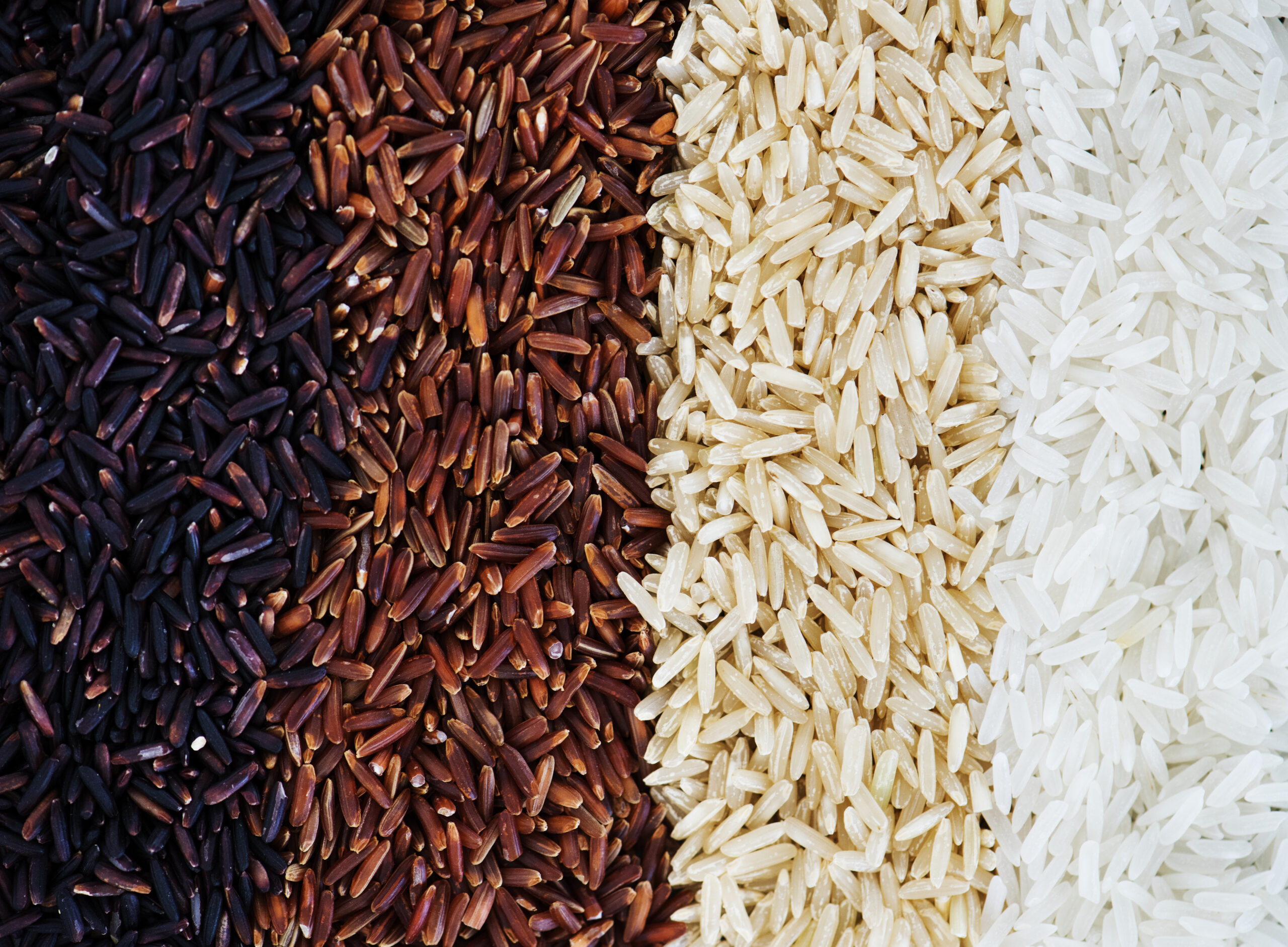 ब्राउन vs क्विनोआ राइस, जानिए मधुमेह प्रबंधन में कौन है बेहतर चावल