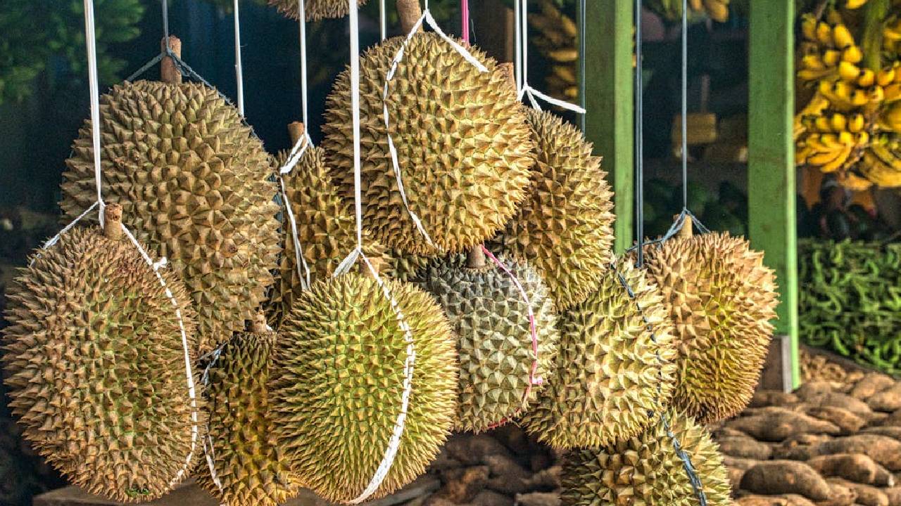 इस फल को होटल में खाने से बचें, वरना भरना पड़ेगा भारी जुर्माना