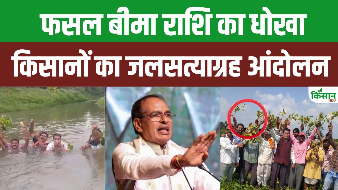 फसल बीमा राशि नहीं मिलने पर किसानों का फूटा गुस्सा, तेज हुआ जल सत्याग्रह आंदोलन