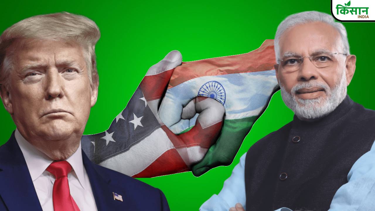 झींगा से लेकर हीरे तक देश की पकड़ बरकरार, जानिए क्यों भारत के बिना नहीं चलेगा अमेरिका का काम?