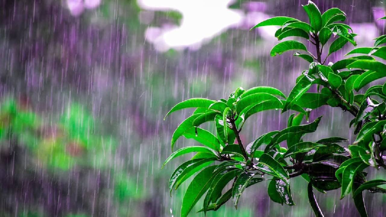 बिहार, उत्तराखंड और एमपी में भारी बारिश की चेतावनी, मौसम विभाग ने जारी किया अलर्ट
