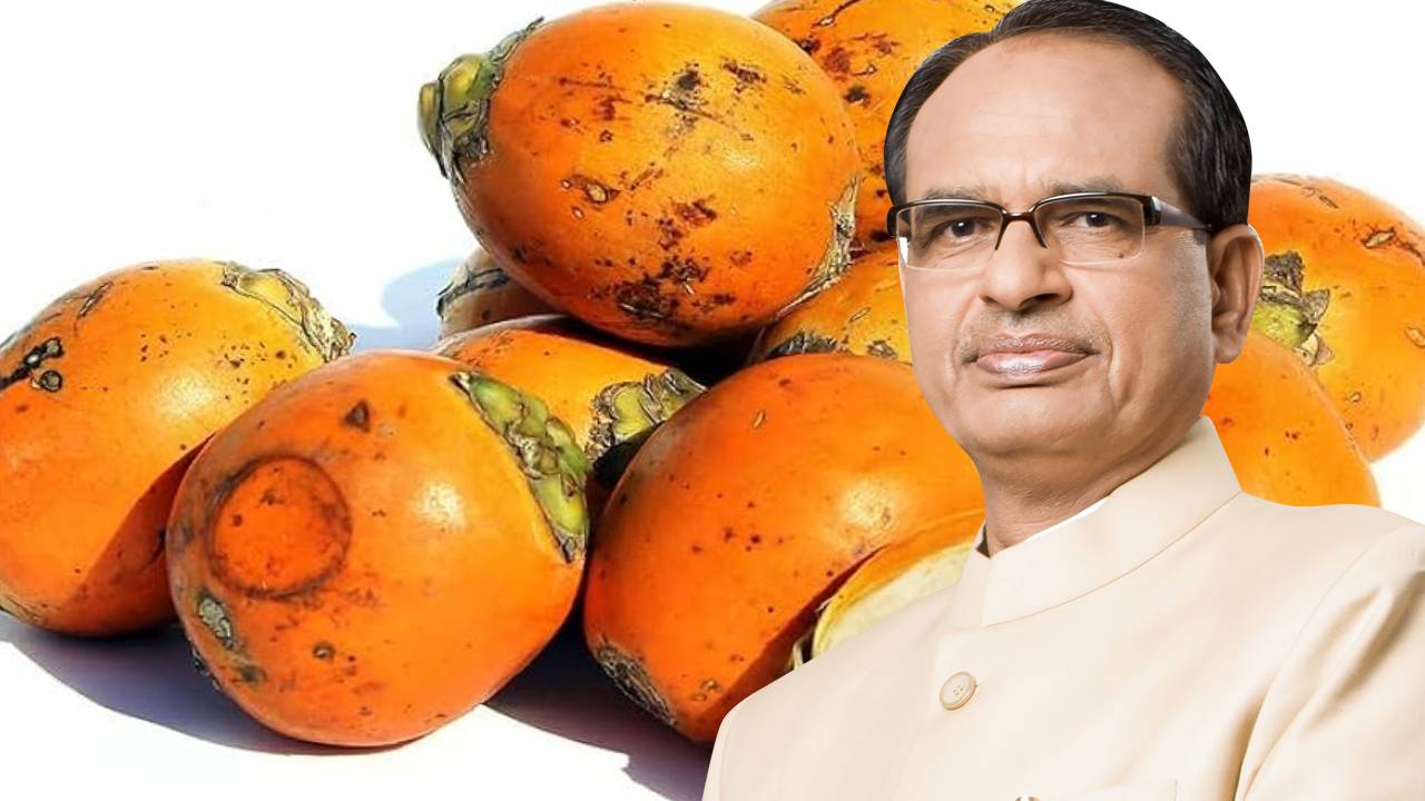 कर्नाटक जाएंगे शिवराज सिंह चौहान, सुपारी किसानों की समस्याओं का करेंगे समाधान