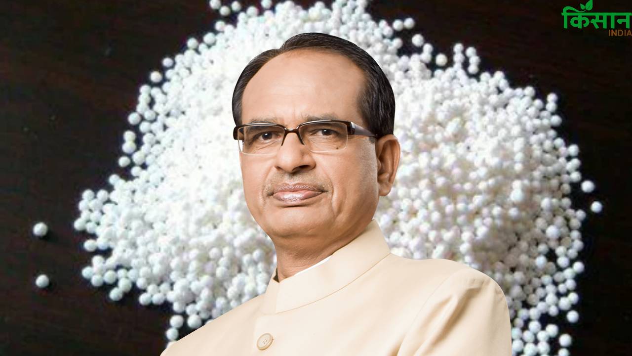 खरीफ सीजन में यूरिया की भारी मांग, किसानों के लिए सरकार ने उठाया बड़ा कदम, जानें