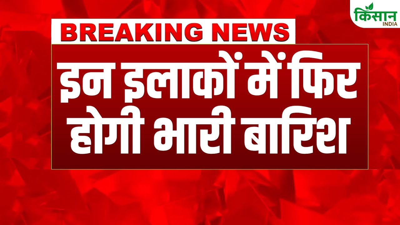 कई राज्यों में धीमी हुई मॉनसून की रफ्तार, बिहार समेत उत्तराखंड के कुछ इलाकों में बारिश का अलर्ट
