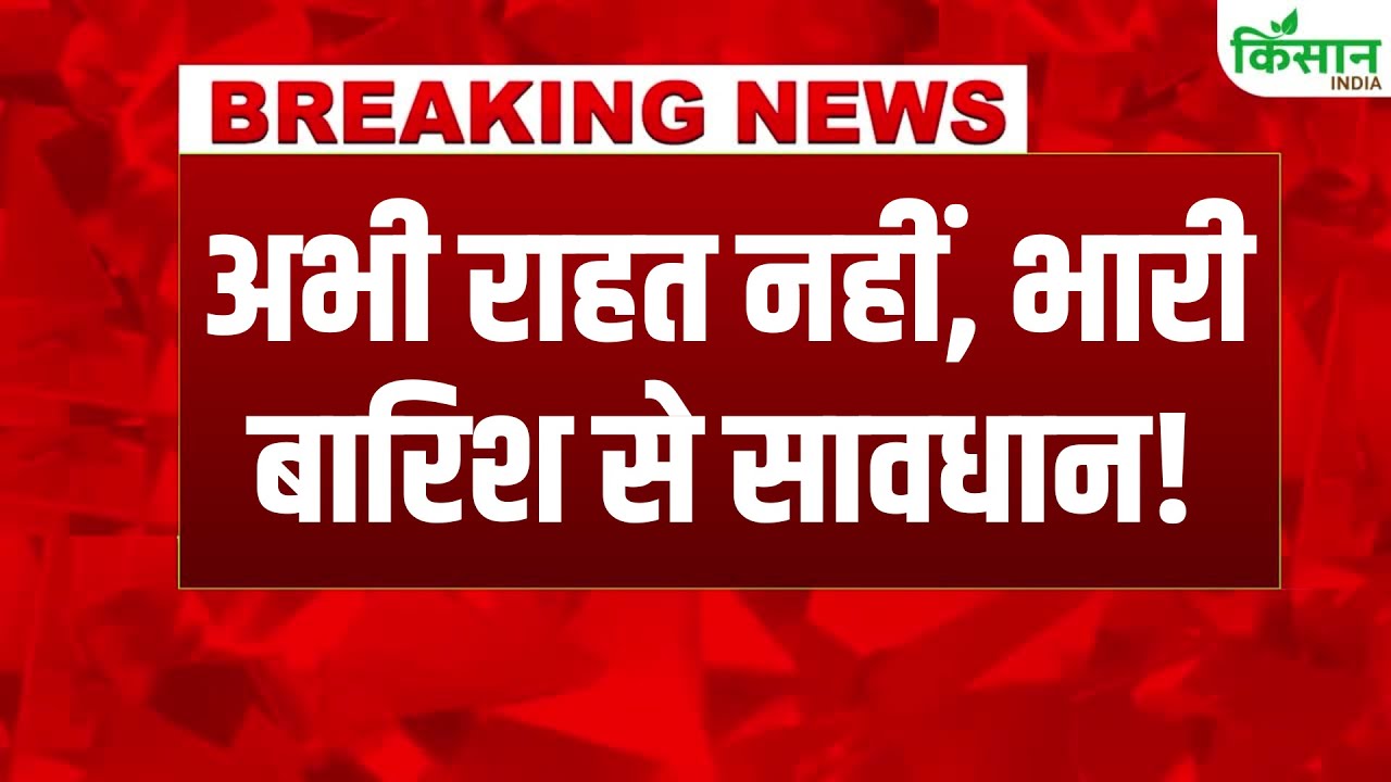 पंजाब-यूपी में धीमी हुई मॉनसून की रफ्तार, दिल्ली में IMD ने जारी किया भारी बारिश का अलर्ट