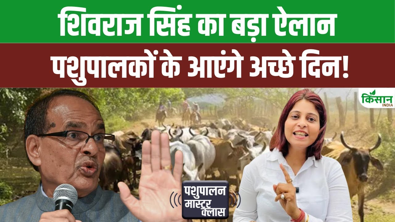किसानों और पशुपालकों को मिली बड़ी राहत, वैक्सीनेशन से खुरपका-मुंहपका रोग पर लग रही लगाम