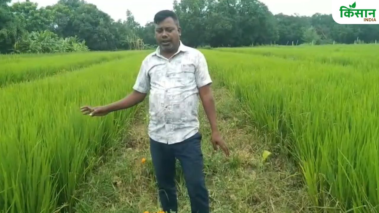 धान के साथ गेंदे और केले की खेती, अयोध्या के किसान शोभाराम कर रहे 3 गुना ज्यादा कमाई