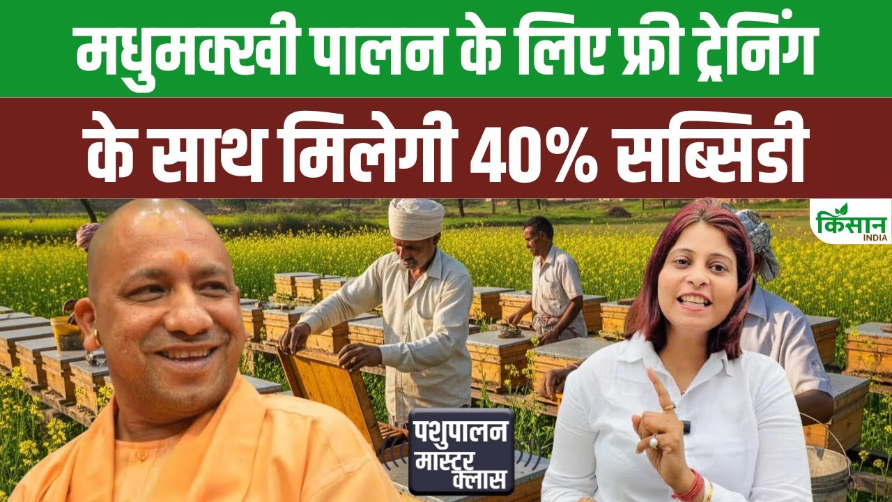 यूपी के किसानों को फ्री में मिलेगी मधुमक्खी पालन की ट्रेनिंग, जानें आवेदन करने का पूरा प्रोसेस
