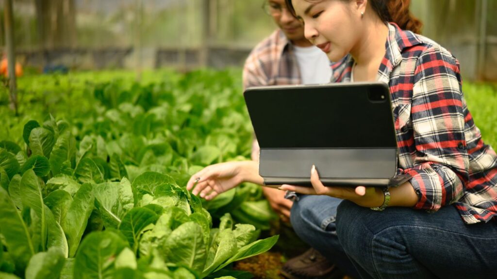 Digital Farming Ke Fayde: डिजिटल उपकरण किसानों को मिट्टी की पीएच लेवल, पोषक तत्वों की स्थिति और फसल में संभावित रोगों का पता लगाने में मदद करते हैं, जिससे समय रहते उचित कदम उठाए जा सकते हैं. Digital Farming Ke Fayde: डिजिटल उपकरण किसानों को मिट्टी की पीएच लेवल, पोषक तत्वों की स्थिति और फसल में संभावित रोगों का पता लगाने में मदद करते हैं, जिससे समय रहते उचित कदम उठाए जा सकते हैं.
