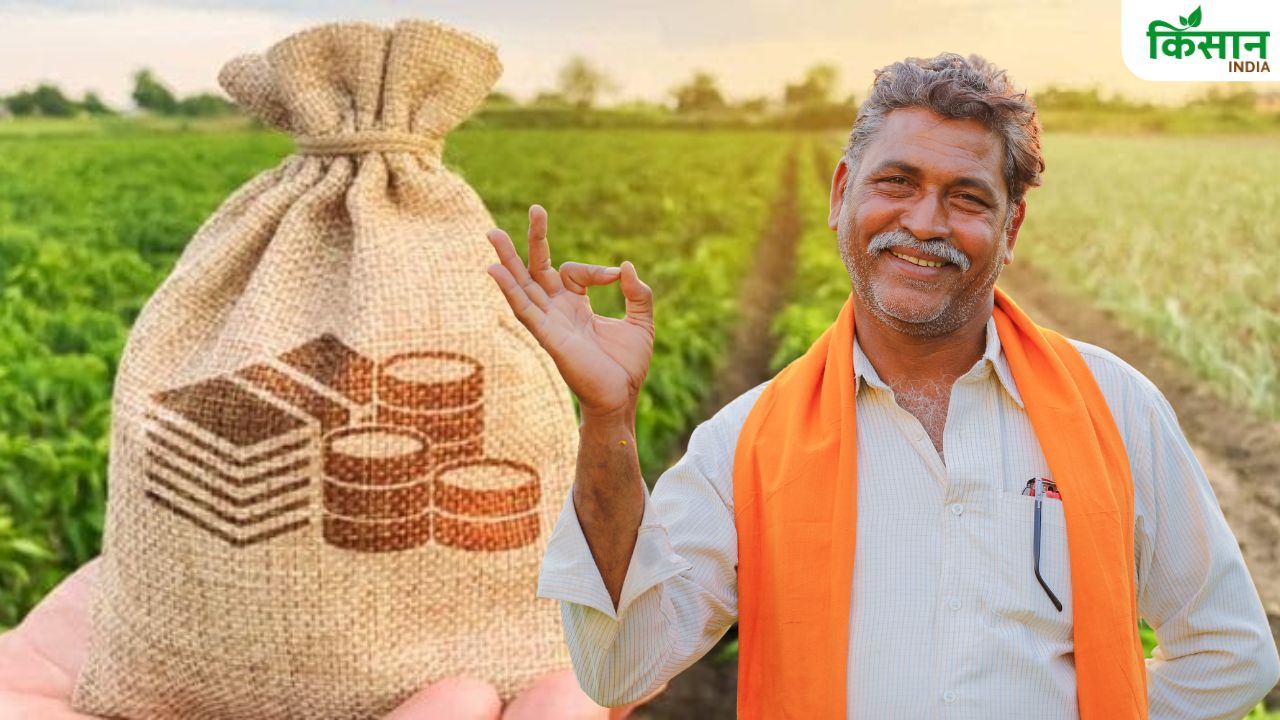 पैक्स के सदस्य बनकर 27 से ज्यादा सुविधाएं लेने का मौका.. उपज की ज्यादा कीमत मिलेगी, घर बैठ करें आवेदन