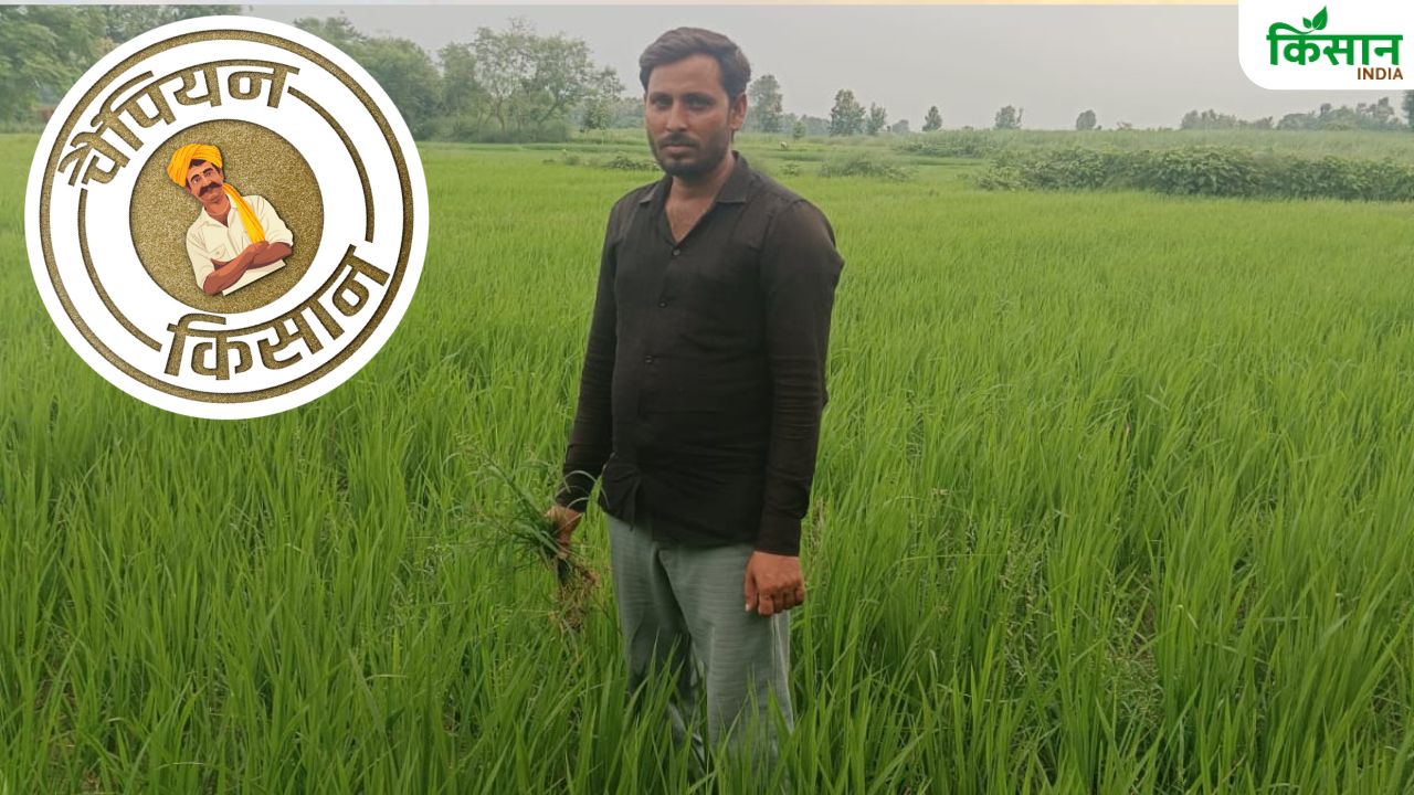 हल उठाया तो खेती से बदल डाली किस्मत, सिद्धार्थनगर के युवा किसान रफीक कर रहे लाखों में कमाई