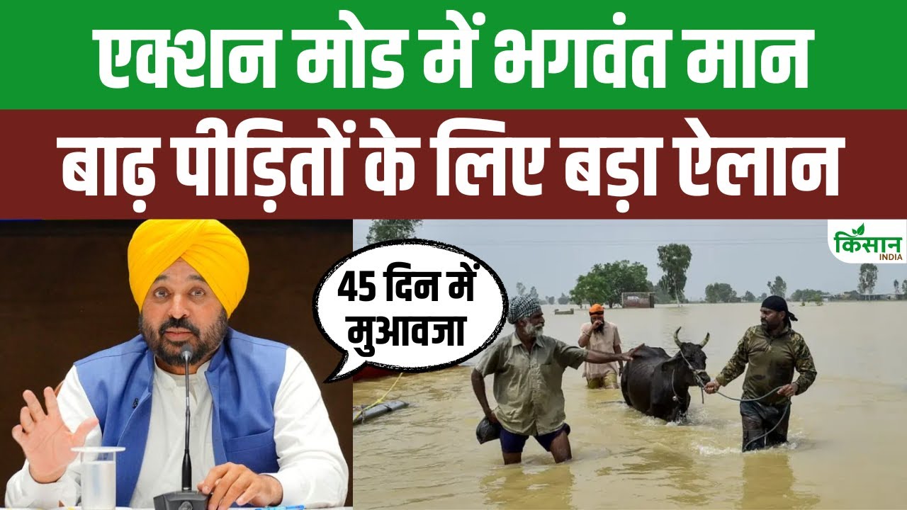 एक्शन मोड में CM भगवंत मान, बाढ़ पीड़ित किसानों को 45 दिन में मुआवजा देने का ऐलान