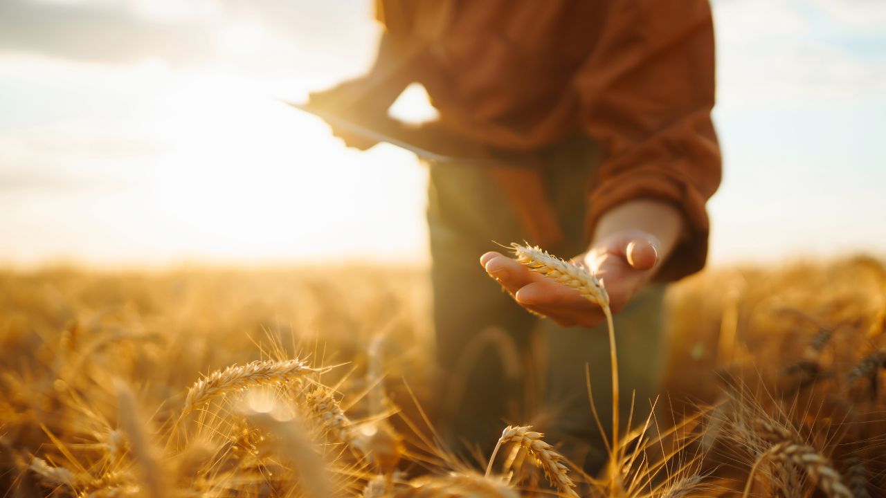 Digital Farming क्या है? जानें किसानों की मेहनत और समय बचाने वाली इस मॉर्डन टेक्नोलॉजी के फायदे!