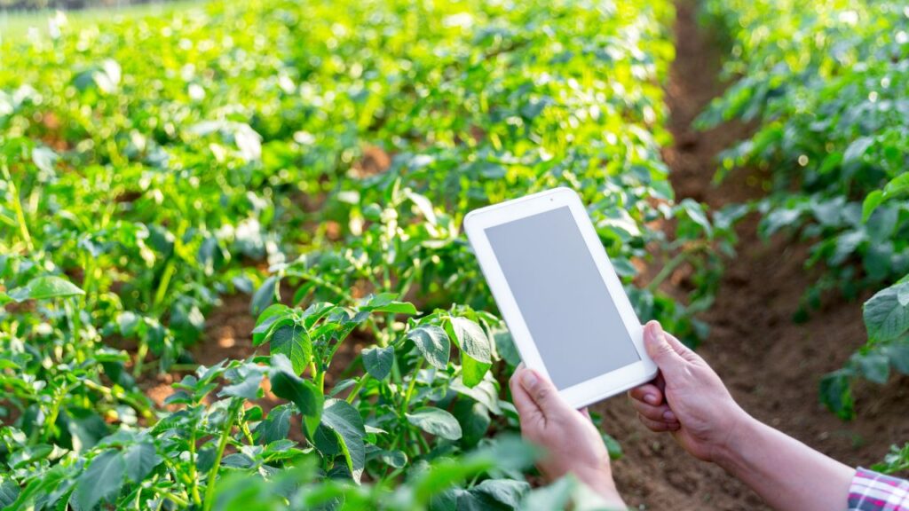 Digital Farming: डिजिटल फार्मिंग, जिसे स्मार्ट फार्मिंग या ई-एग्रीकल्चर भी कहा जाता है, खेती में डिजिटल तकनीकों का इस्तेमाल करके उत्पादन और प्रबंधन को बेहतर बनाने की आधुनिक प्रक्रिया है. सेंसर, ड्रोन, GPS मैपिंग और सैटेलाइट इमेजरी से किसान खेत की पूरी जानकारी रियल टाइम में हासिल कर सकते हैं. Digital Farming: डिजिटल फार्मिंग, जिसे स्मार्ट फार्मिंग या ई-एग्रीकल्चर भी कहा जाता है, खेती में डिजिटल तकनीकों का इस्तेमाल करके उत्पादन और प्रबंधन को बेहतर बनाने की आधुनिक प्रक्रिया है. सेंसर, ड्रोन, GPS मैपिंग और सैटेलाइट इमेजरी से किसान खेत की पूरी जानकारी रियल टाइम में हासिल कर सकते हैं.