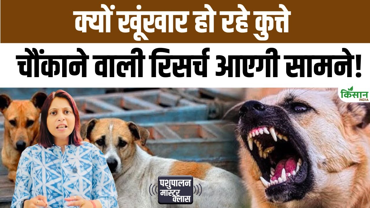बरेली में बनेगा देश का पहला कैनाइन रिसर्च सेंटर, कुत्तों के व्यवहार पर होगा शोध
