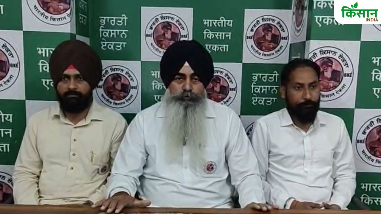 ग्वार-नरमा और धान-मक्का बर्बादी पर भड़के किसान, किसानों को 50 हजार और मजदूरों को 10 हजार मुआवजा मांगा
