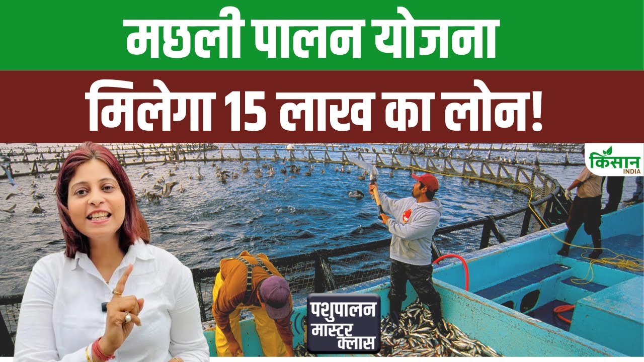 यूपी में मछली पालन के लिए मिलेगा 15 लाख तक लोन, जानें आवेदन करने का पूरा प्रोसेस