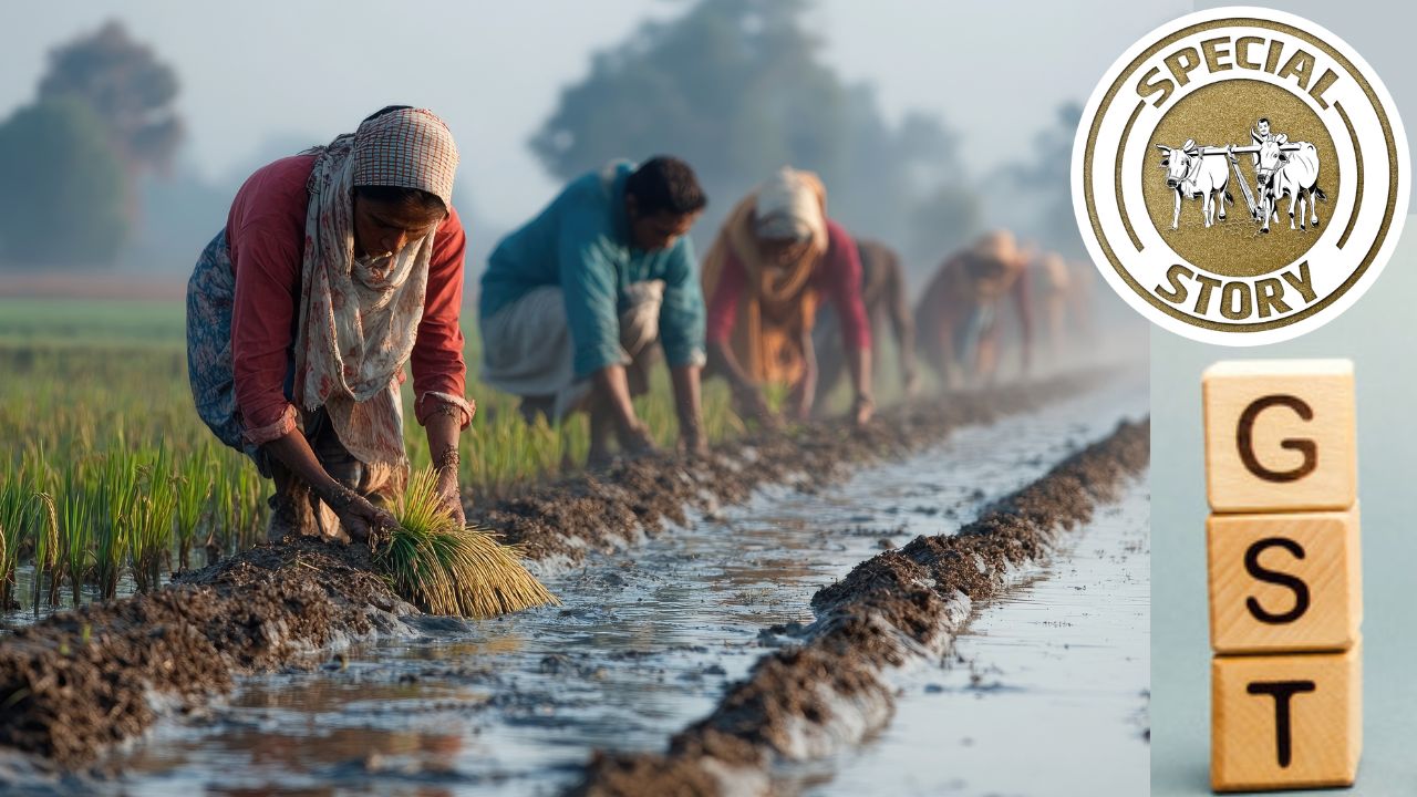 GST बदलावों से क्या सच में सस्ते होंगे कृषि उपकरण? कृषि-ग्रामीण विकास में तेजी के दावों पर क्या कहते हैं एक्सपर्ट