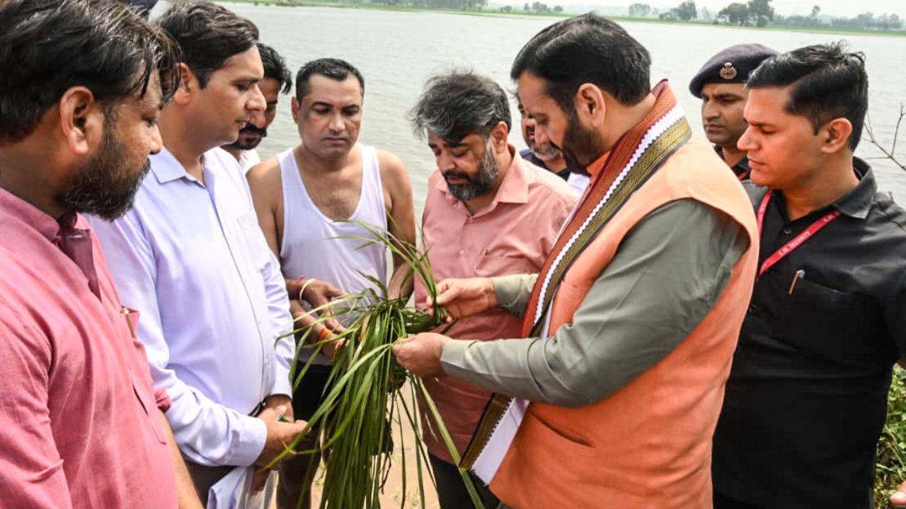 हरियाणा में 9 लाख एकड़ में खड़ी फसलें बर्बाद, 1.69 लाख किसानों को मिलेगा मुआवजा